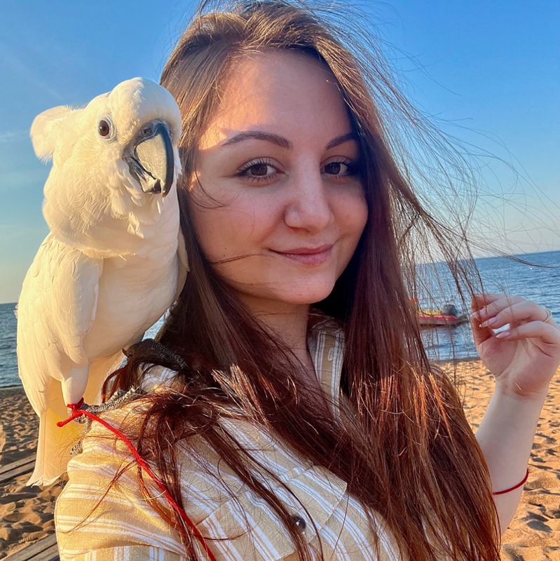 Хижина красоты