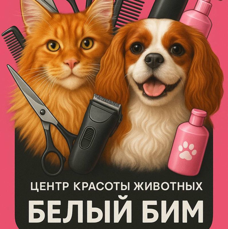 Академия Пуха «Белый Бим »