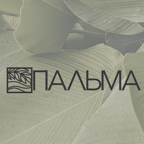 ПАЛЬМА пилатес на реформерах