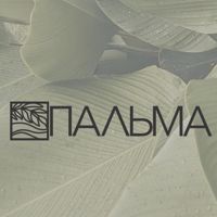 ПАЛЬМА пилатес на реформерах — уход tokio inkarami в Пензе