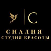 Студия красоты «Сиалия» — колорирование в Екатеринбурге