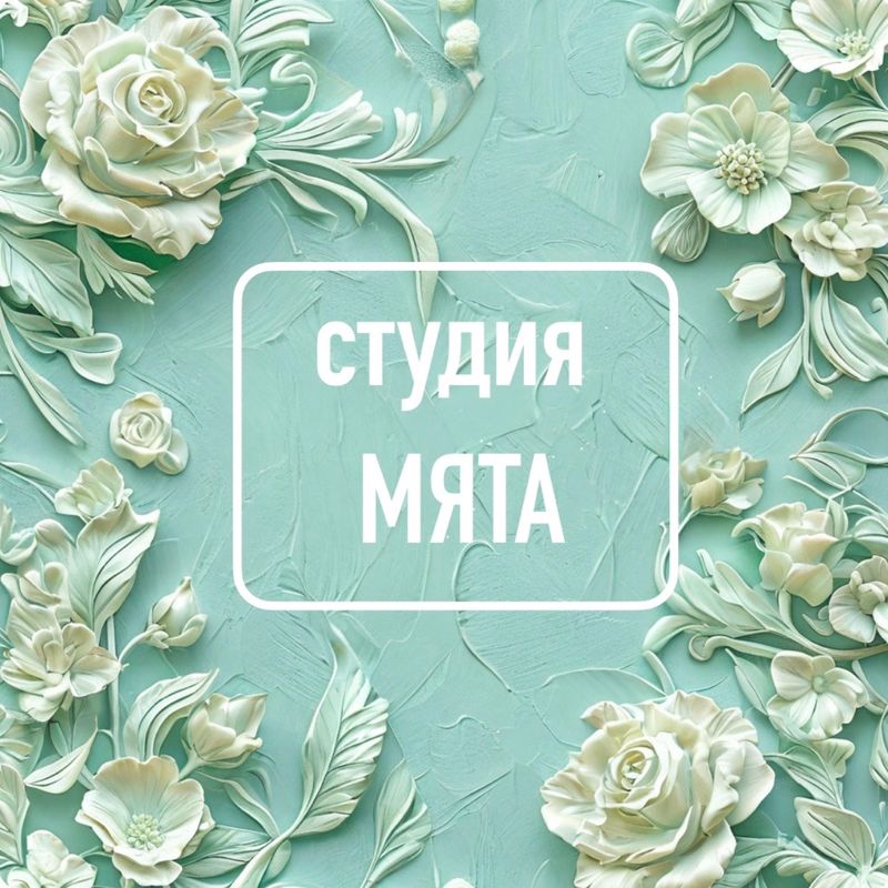 Студия Мята