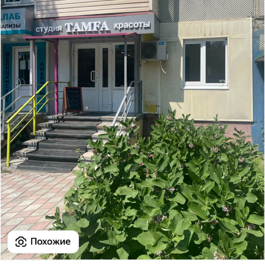TAMFA