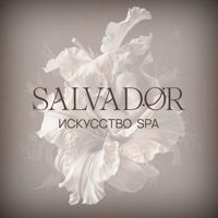 SALVADOR Искусство SPA — пилинг в городе Новоселье