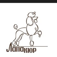 Лапакюр — груминг пуделя в Чебоксарах