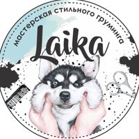 Laika Луна — груминг пуделя в Перми