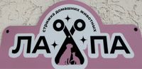 Груминг студия Ла-па — груминг пуделя в Новороссийске