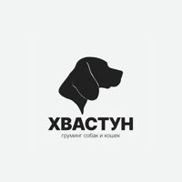 ХВАСТУН | ГРУМИНГ ПИТОМЦЕВ | Киров — груминг пуделя в Кирове