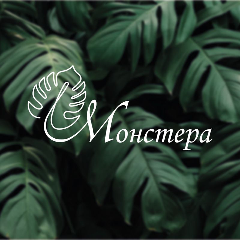 Студия Монстера