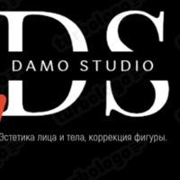 DaMo_Studio — обертывание в Челябинске