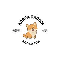 KOREA GROOM — груминг пуделя в Самаре