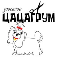 ЦАЦАГРУМ Казань — rf-лифтинг в Казани