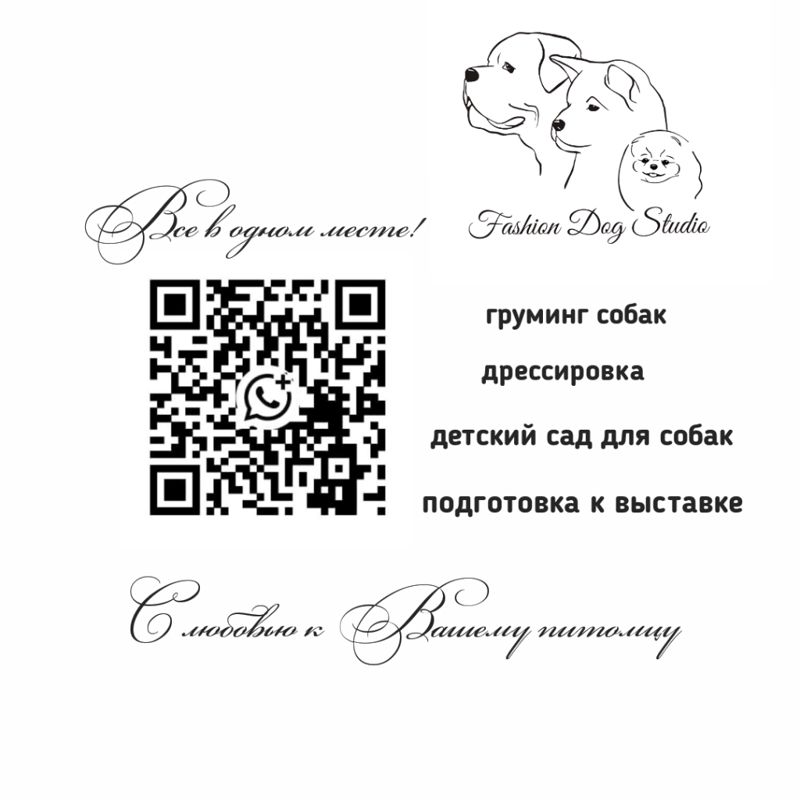 Fashion Dog STUDIO