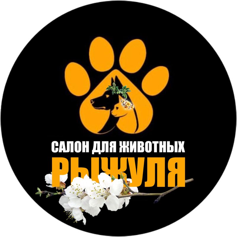 DOG &amp;amp; CAT Рыжуля