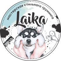 Laika Закамск — груминг пуделя в Перми