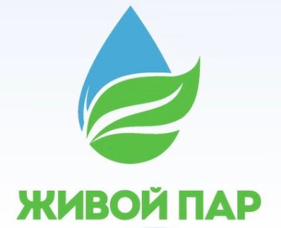 Живой пар