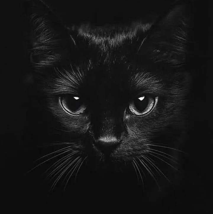 Black_eyes