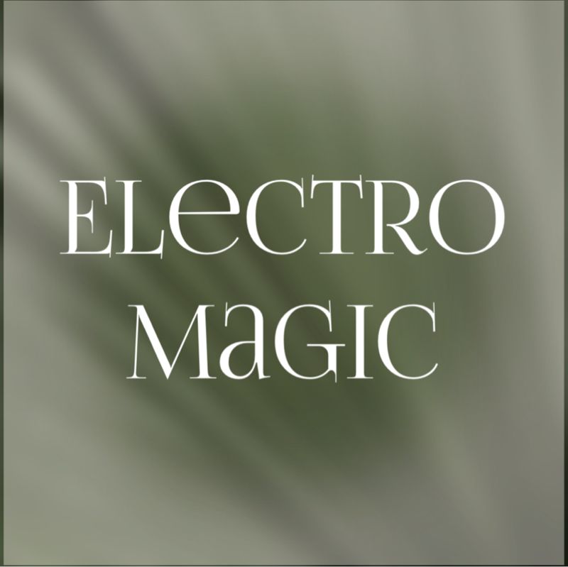ElectroMagic Studio