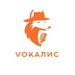 VOKALIS студия                                                                                                                                                             - Творческое пространство для Твоего звука