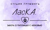 Студия груминга «ЛасК.А.» — груминг пуделя в Архангельске
