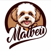 Матвей и его команда — груминг пуделя в Красноярске