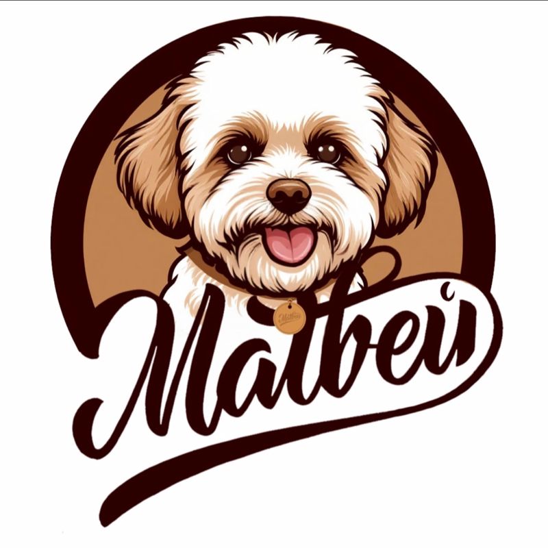 Матвей и его команда