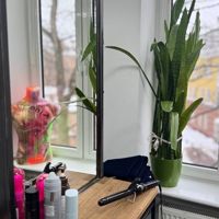 Золотые руки — спа-массаж в Калининграде