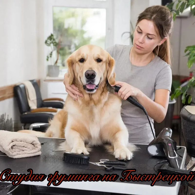 Студия груминга на Быстрецкой