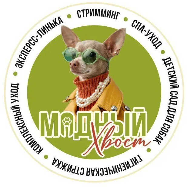 Модный Хвост