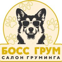 Босс Грум — груминг пуделя в Ярославле