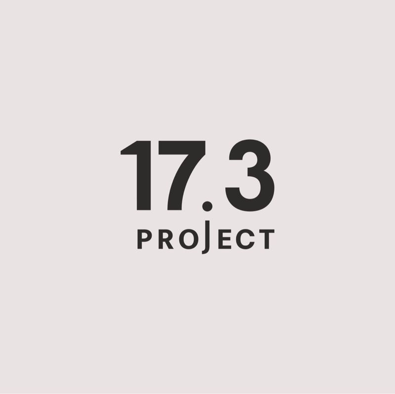 17.3project
