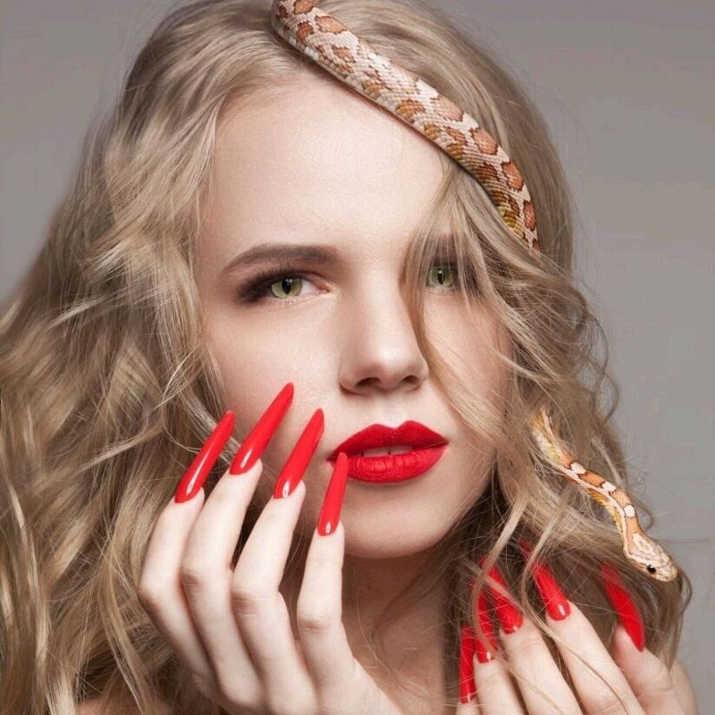 Елена  Брезгина