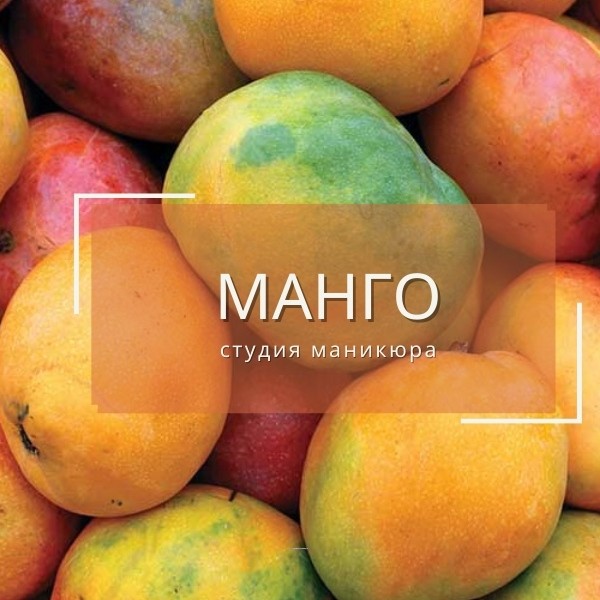 студия МАНГО