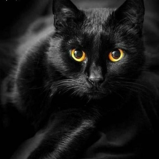 Bastet