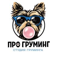 «ПРО ГРУМИНГ» Центр — груминг пуделя в Рязани