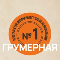 Грумерная №1 — груминг пуделя в Воронеже