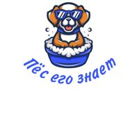 Пёс его знает — груминг пуделя в Перми