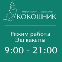 КОКОШНИК территория красоты — педикюр классический в Казани