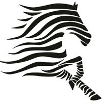Салон красоты ZEBRA (Зебра) — микротоки в Ярославле