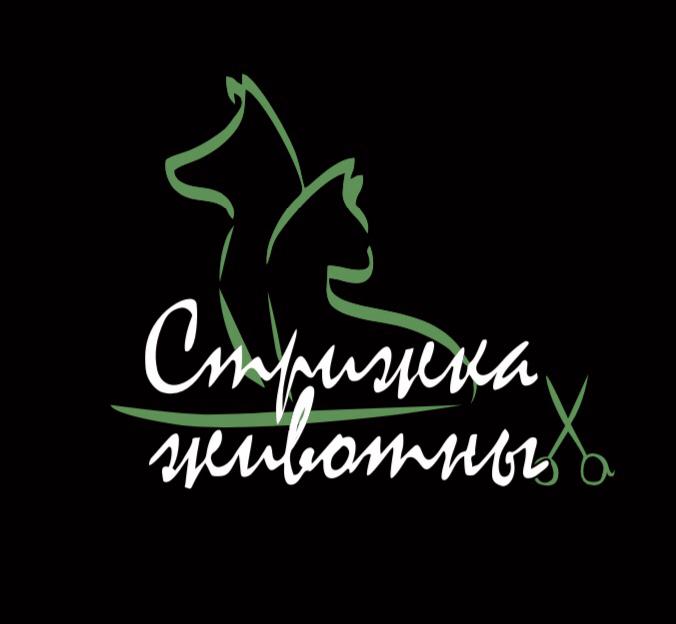 Стрижка Собак Нижний Новгород