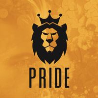 PRIDE пр. Московский 49, ТЦ Вертикаль — LPG массаж в городе Московский