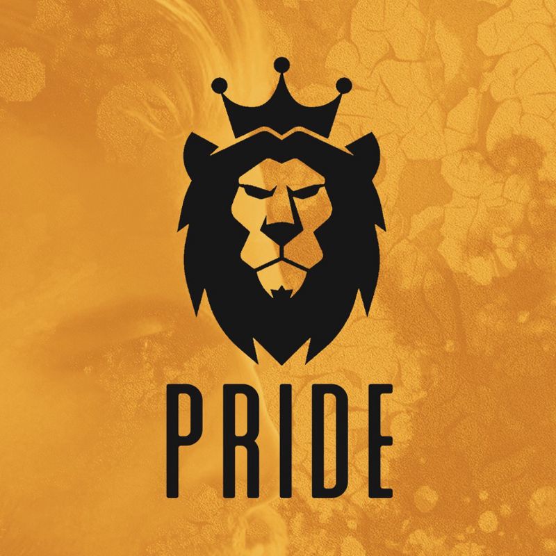 PRIDE пр. Московский 49, ТЦ Вертикаль