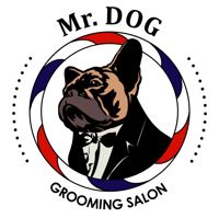 Груминг салон «Mr.Dog» — груминг пуделя в Челябинске