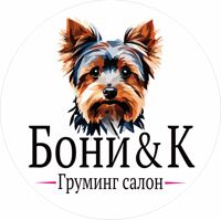 Зоосалон Бони&К — груминг пуделя в Москве