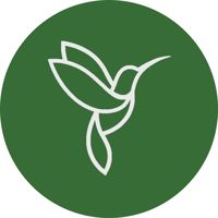 Colibri - студия наращивания ресниц — татуаж бровей в Красноярске