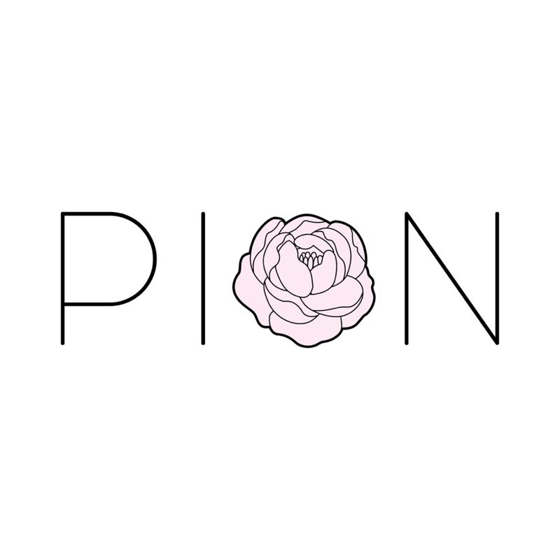PION