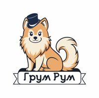 Студия Груминга Groomroom — груминг мейн-куна
