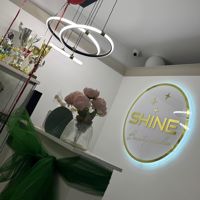 Салон Красоты SHINE — мелирование в Туле