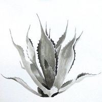 AloeVera — ремонт ногтя в Липецке