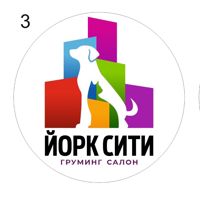 Йорк сити — груминг пуделя в Уфе